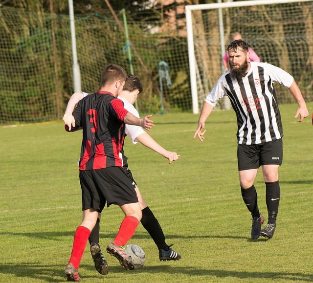 星在职业生 星在职业生