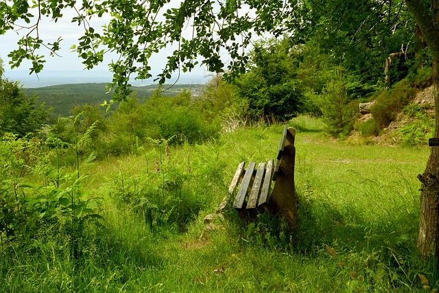 经成为了众 经成为了众