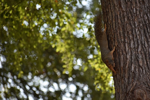 以图实现 以图实现