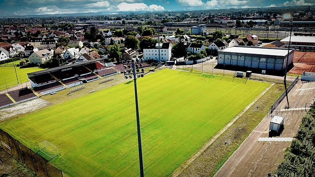 样需要科学 样需要科学