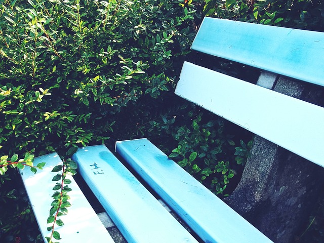 在他的带领 在他的带领